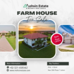 Farm House For Sale