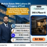 Brand New 10 Marla Luxury House for Sale in DHA Phase 6 – Block D Lahore